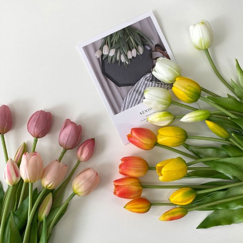 프리미엄 망고튤립 5송이 꽃다발 조화 8colors